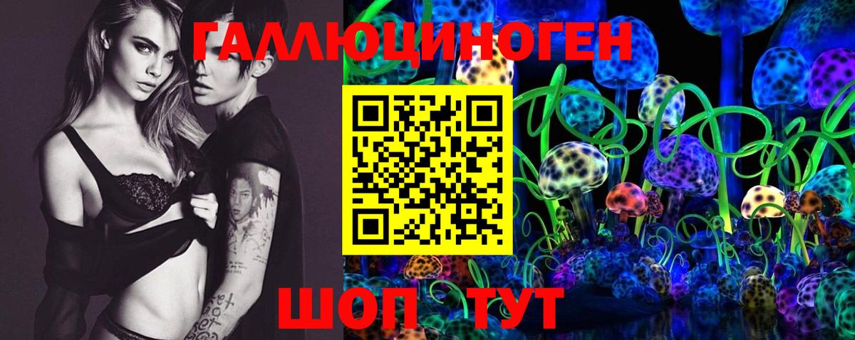 Ессентуки  Псилоцибиновые грибы прущие грибы  Вход с VPN 