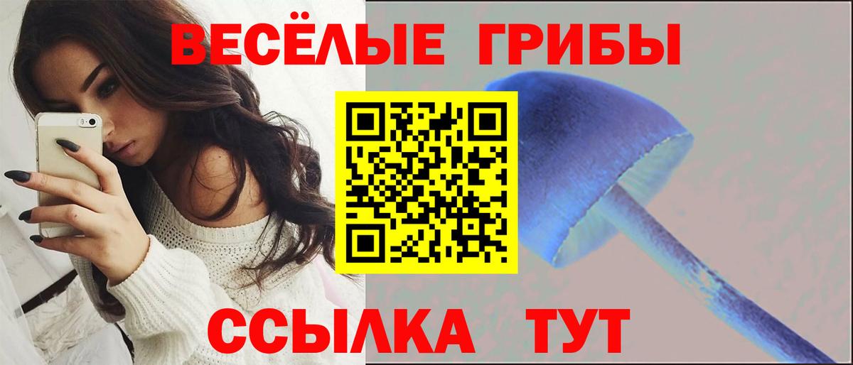 Псилоцибиновые грибы мицелий Ессентуки